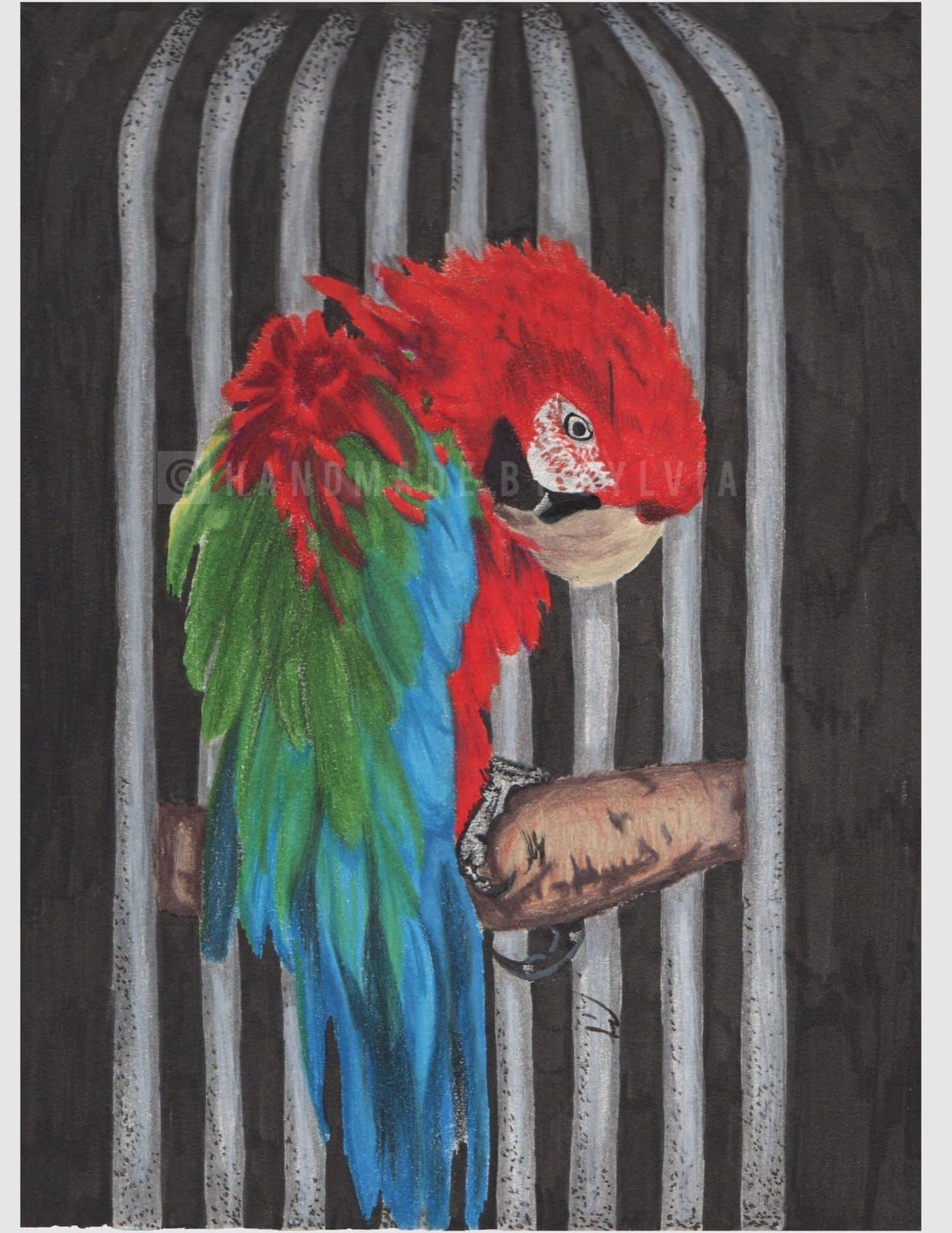 No Room To Fly art print