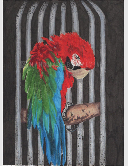 No Room To Fly art print